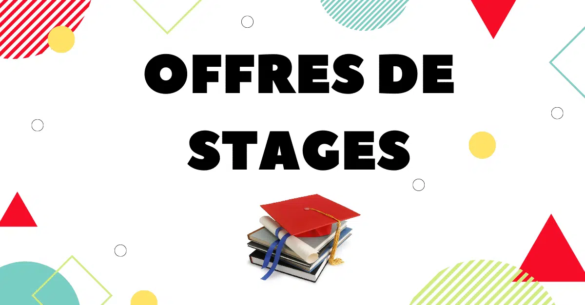 Catalogue Offre de Stages